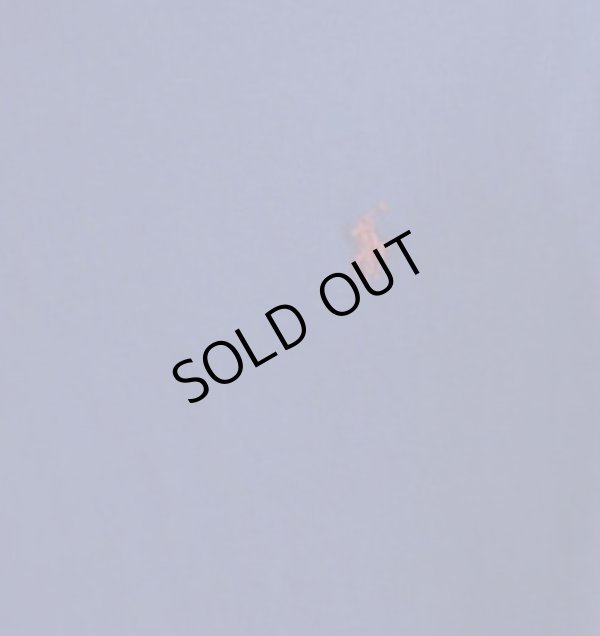 画像8: ★メール便無料★【ラルフローレン】コットン長袖Tシャツ（4色展開）＜S-XL＞